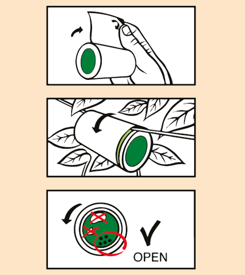 Aphiscout Aphid Killer - Parasitic Wasp Mix