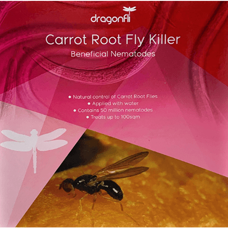 Carrot Root Fly Killer Nematodes