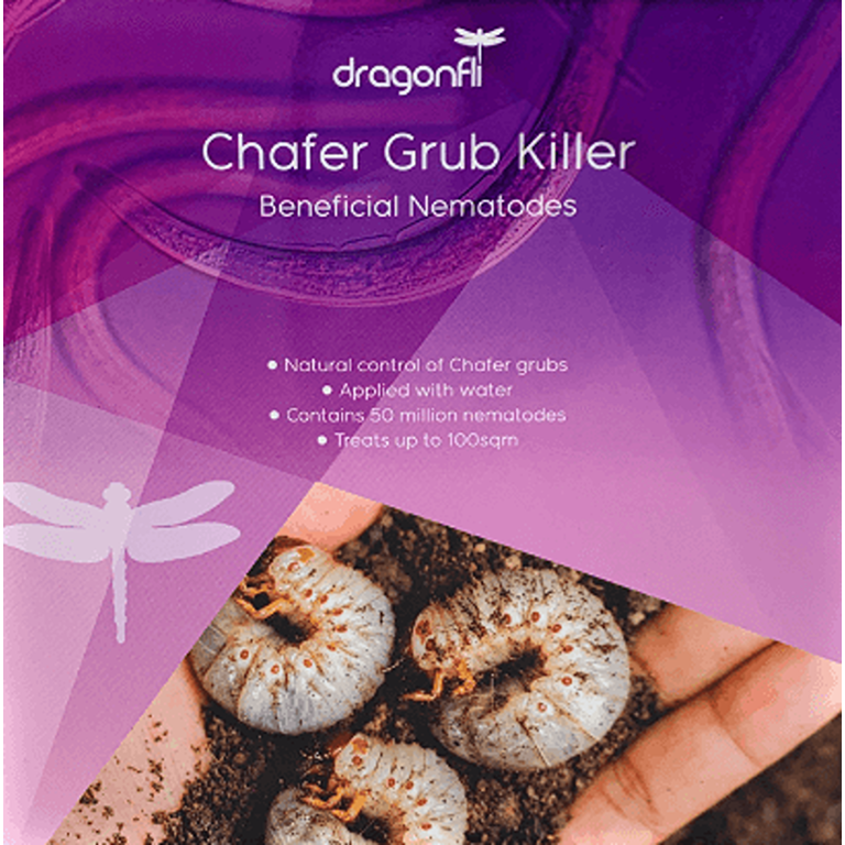 Chafer Grub Killer Nematodes - Heterorhabditis bacteriophora