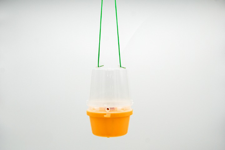 Wasp Trap With Attractant