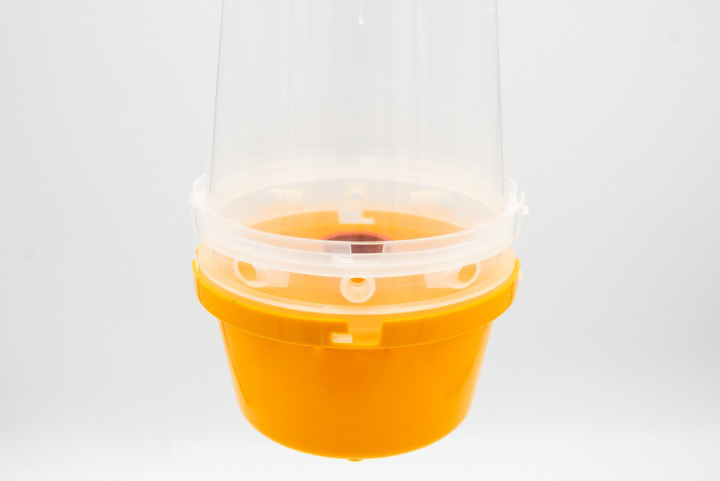 Wasp Trap With Attractant