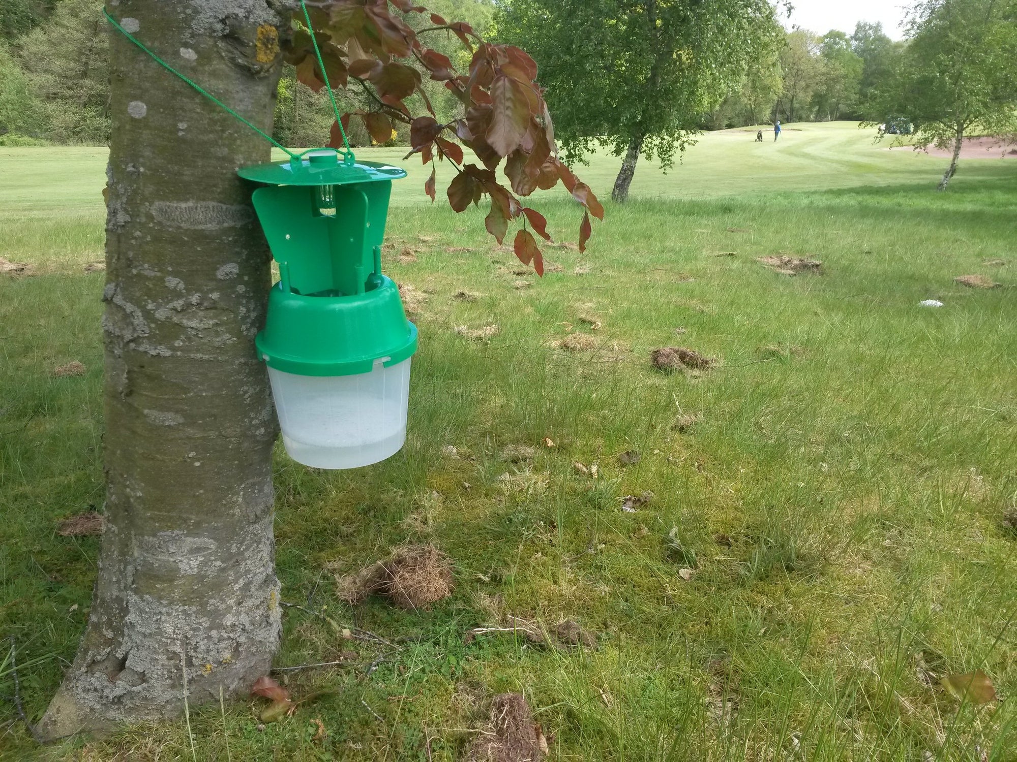 Garden Chafer Beetle Attractant Lure