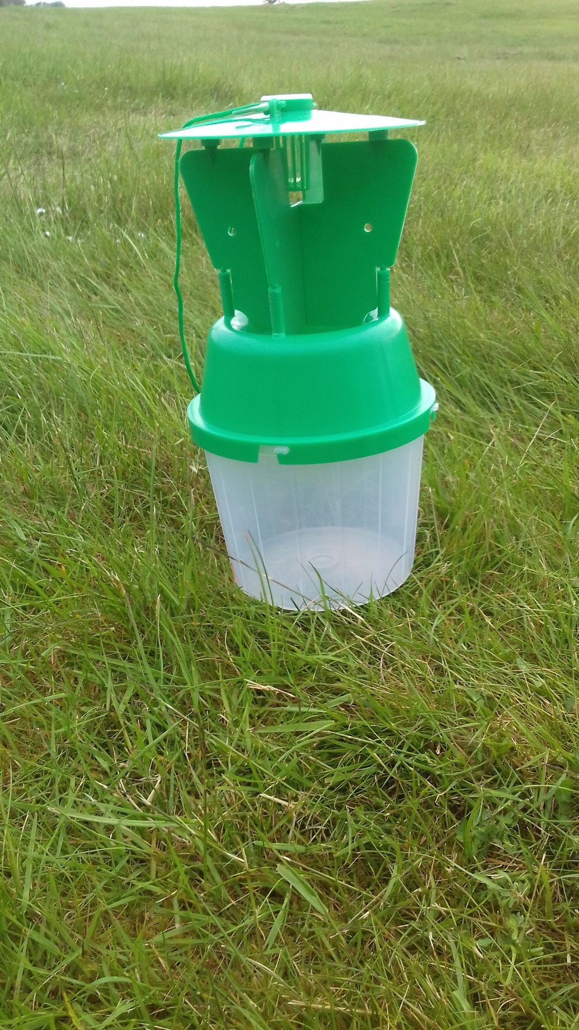Garden Chafer Beetle Trap Including Attractant Lure