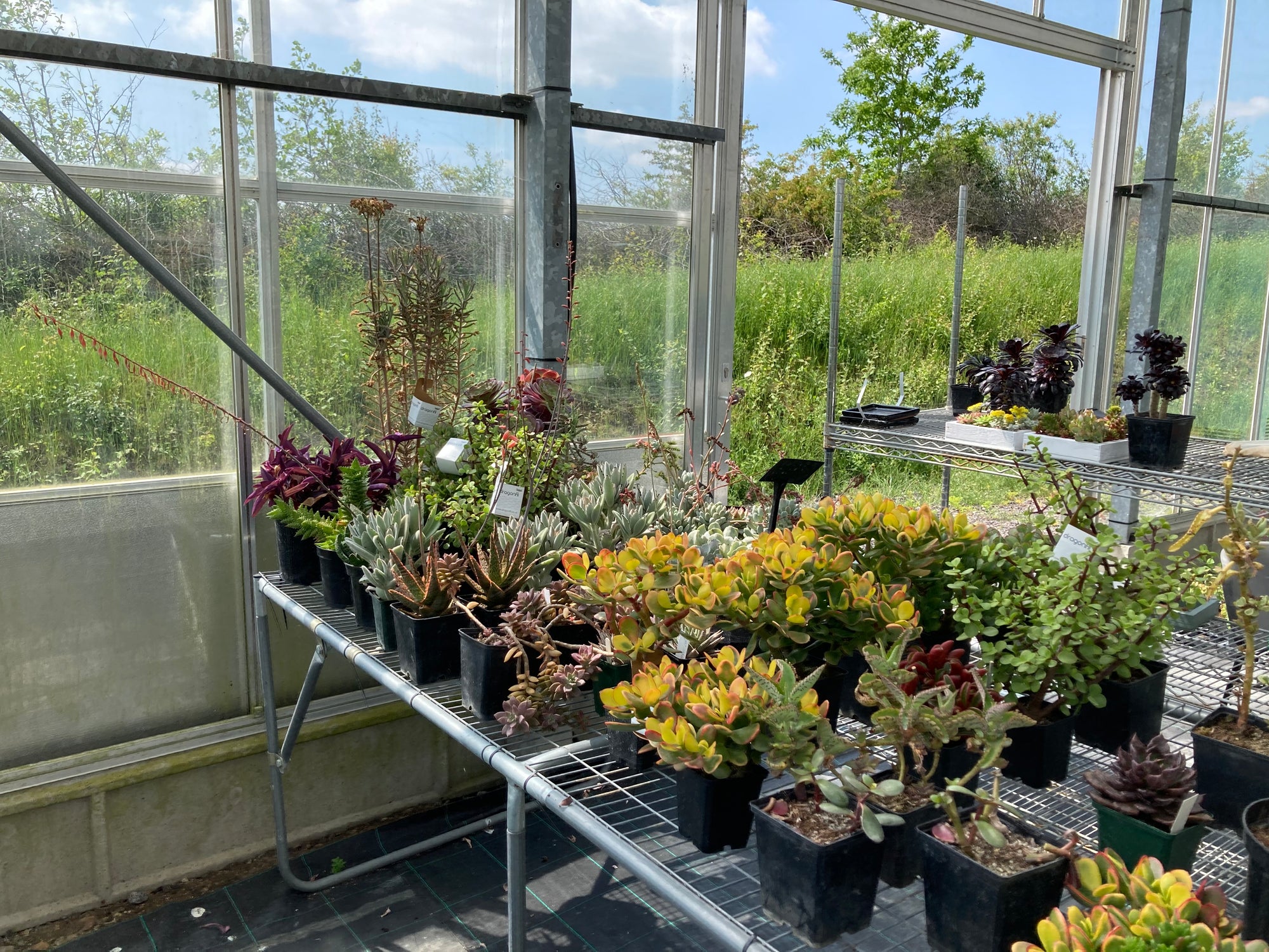 Distribution Box - Easily Apply Your Natural Predators, Hang From Plants