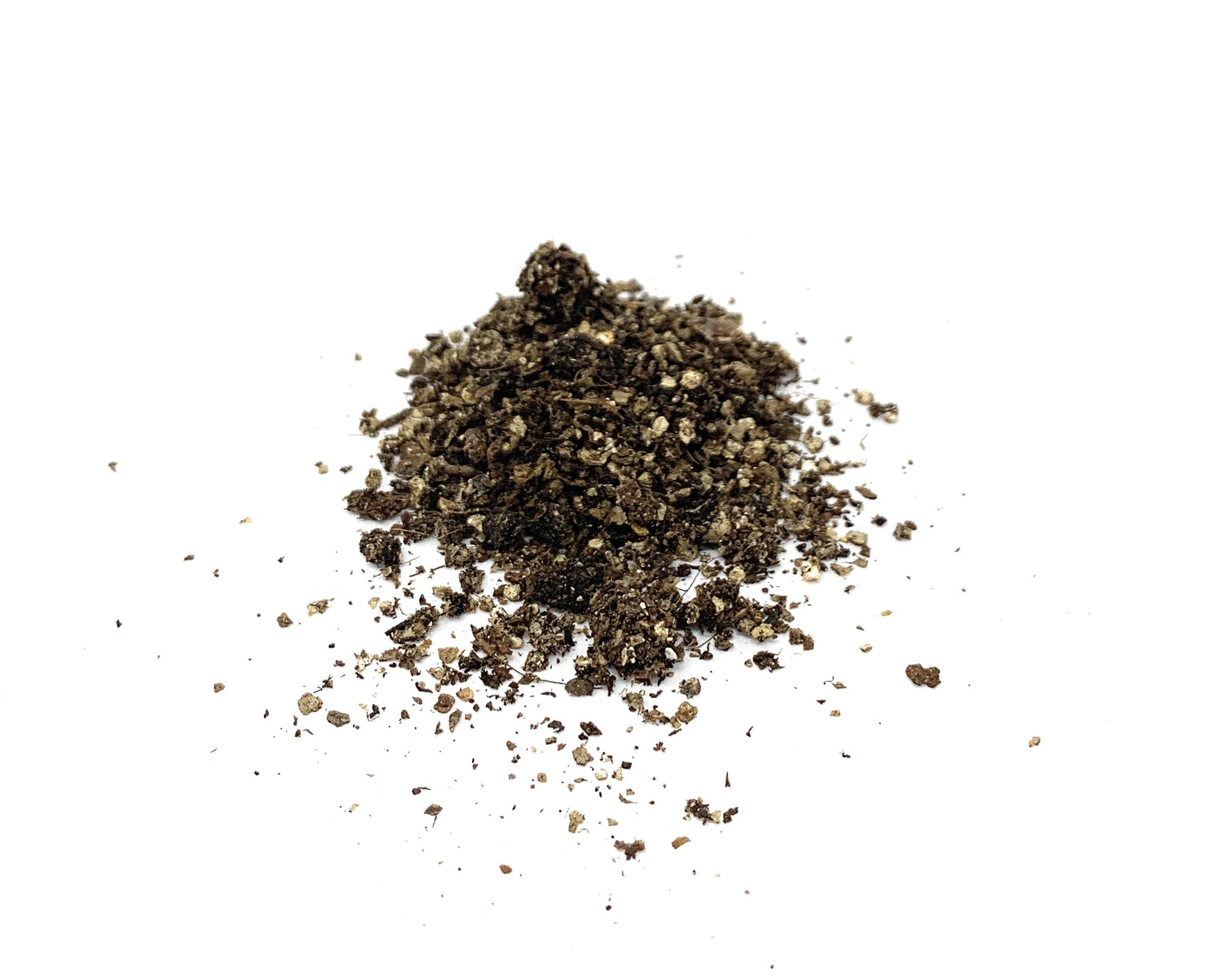 Mighty Mite - Macrocheles robustulus