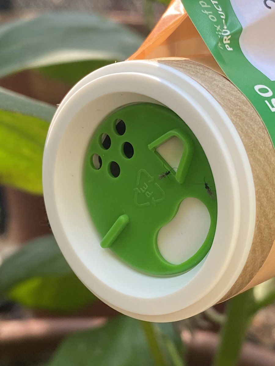 Aphiscout Aphid Killer - Parasitic Wasp Mix