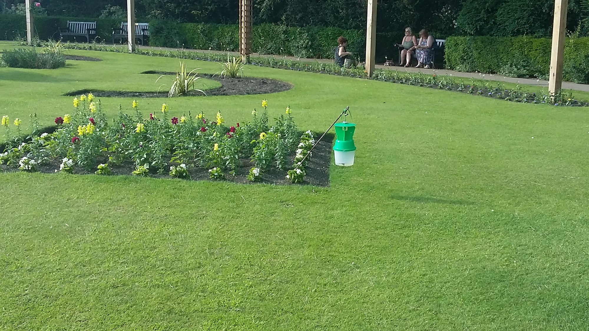 Garden Chafer Beetle Trap Including Attractant Lure