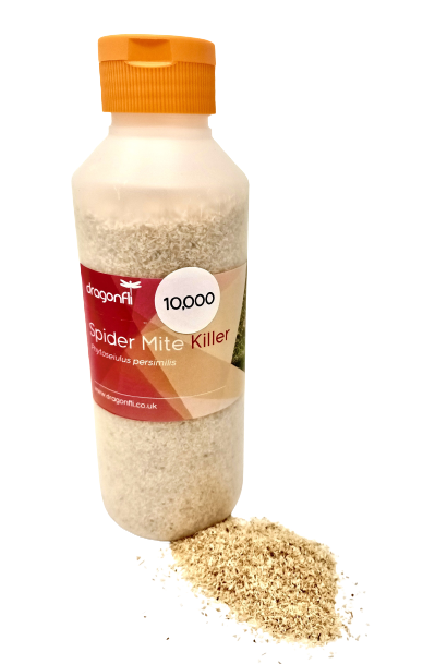 Phytoseiulus persimilis Spider Mite Curative System