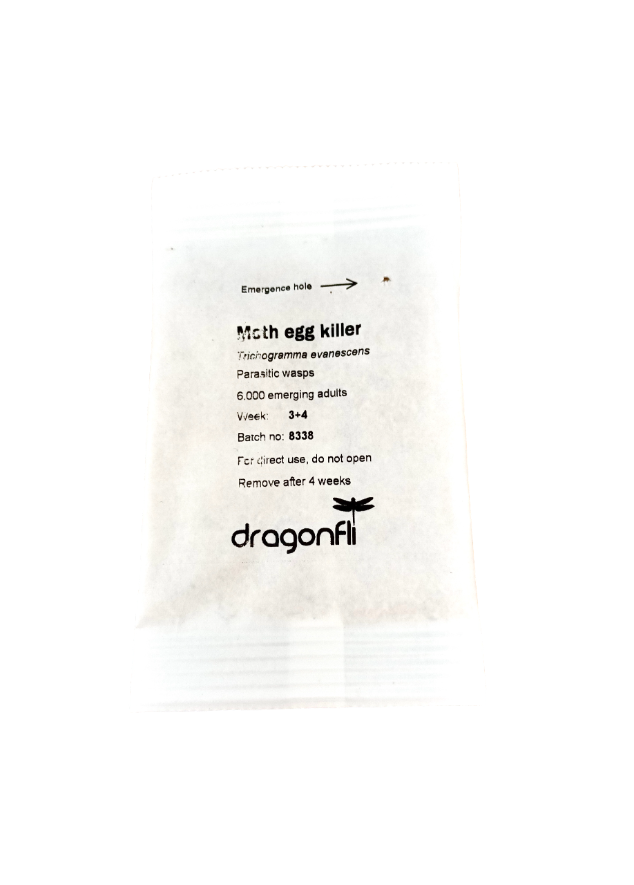 Clothes Moth Egg Killer Sachet (Trichogramma Parasitic Wasps, As Seen On TV!) - Ready To Use, Simply Place In Wardrobes & Other Infestation Hotspots
