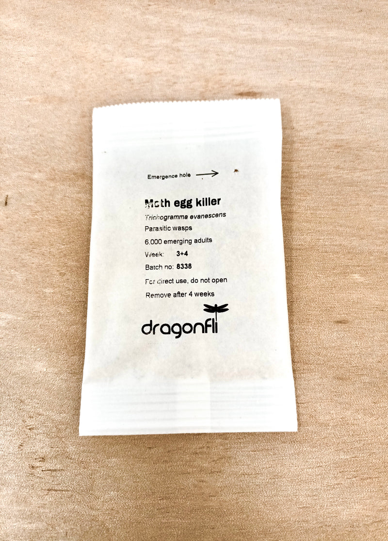 Clothes Moth Egg Killer Sachets Trichogramma Parasitic Wasps Dragonfli