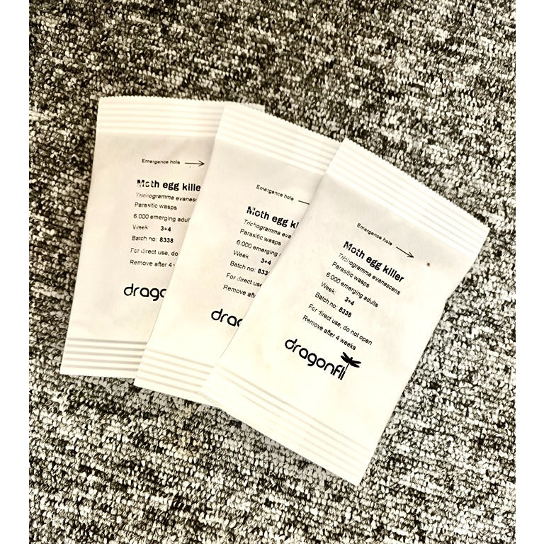 Clothes Moth Egg Killer Sachet (Trichogramma Parasitic Wasps, As Seen On TV!) - Ready To Use, Simply Place In Wardrobes & Other Infestation Hotspots