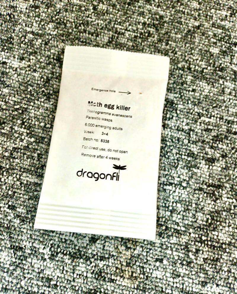 Clothes Moth Egg Killer Sachets Trichogramma Parasitic Wasps Dragonfli