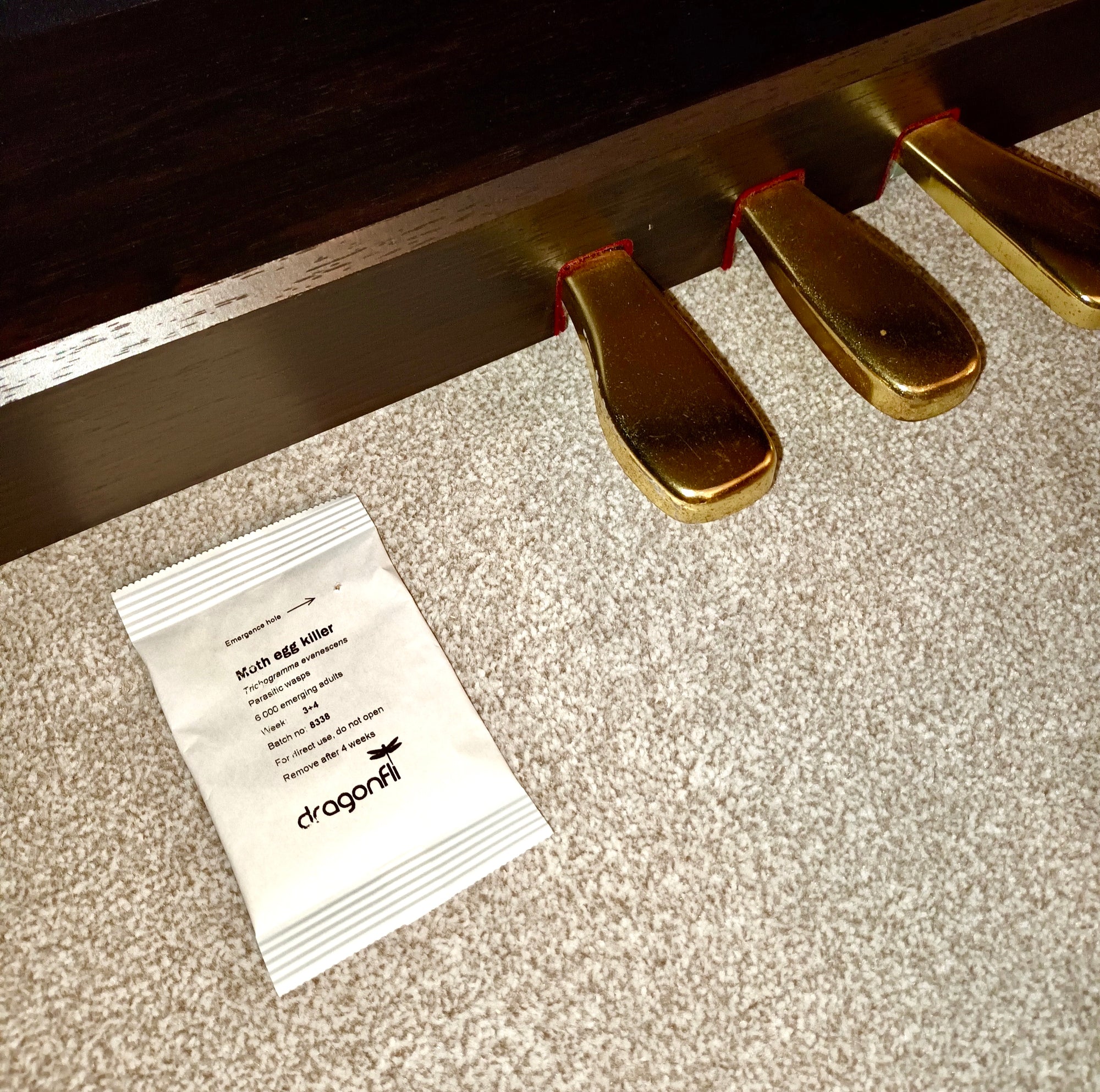 Clothes Moth Egg Killer Sachet (Trichogramma Parasitic Wasps, As Seen On TV!) - Ready To Use, Simply Place In Wardrobes & Other Infestation Hotspots