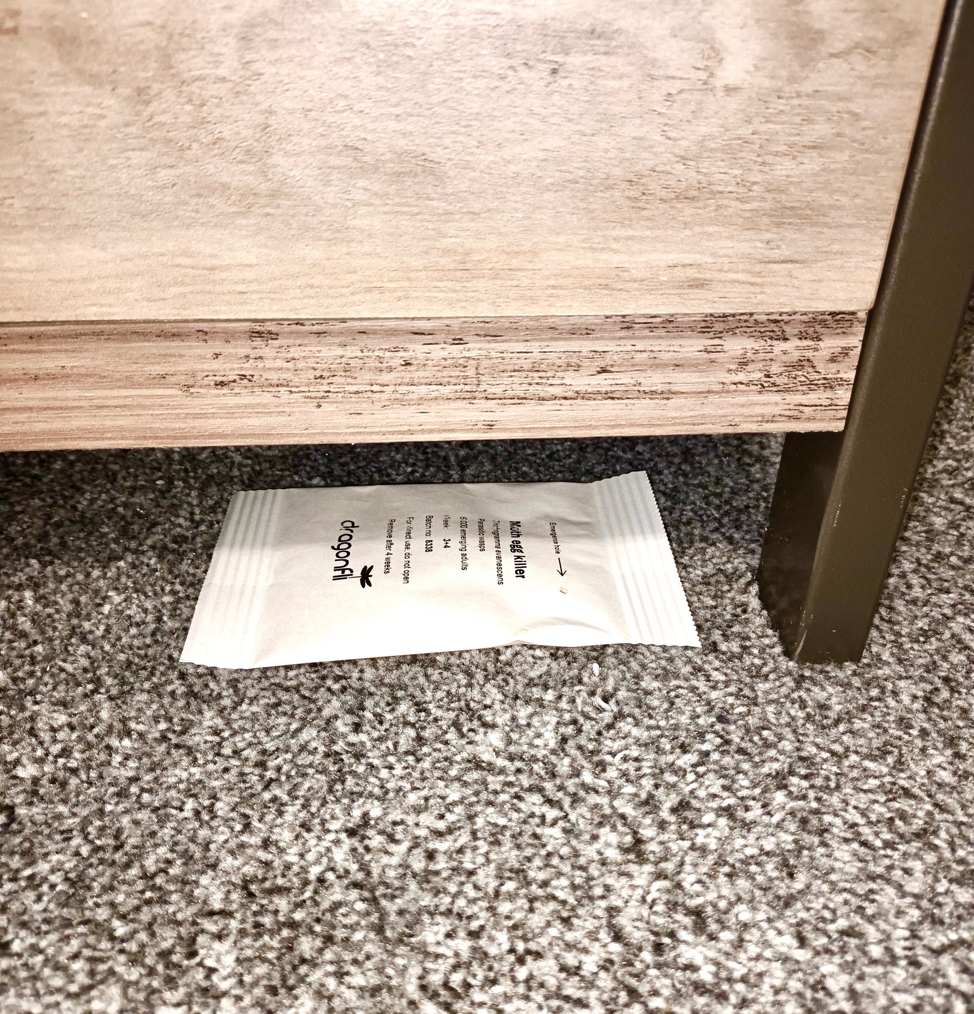 Clothes Moth Egg Killer Sachet (Trichogramma Parasitic Wasps, As Seen On TV!) - Ready To Use, Simply Place In Wardrobes & Other Infestation Hotspots