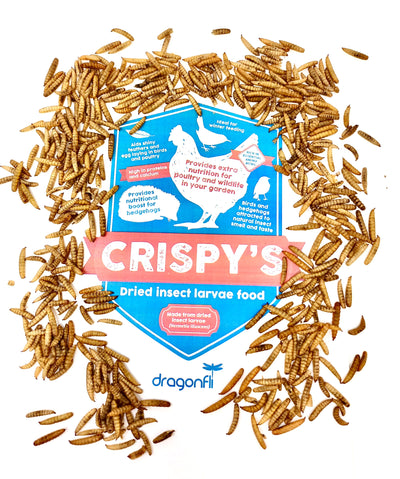 Crispy's - Nutritious Dried Insect Feed For Birds & Hedgehogs