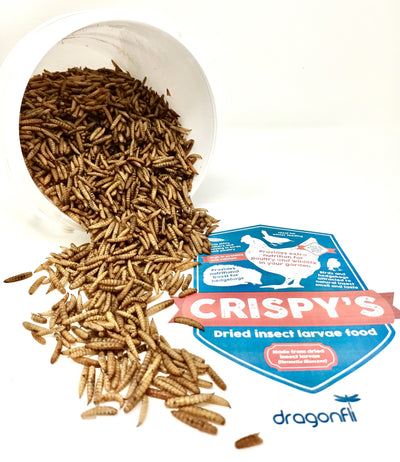 Crispy's - Nutritious Dried Insect Feed For Birds & Hedgehogs