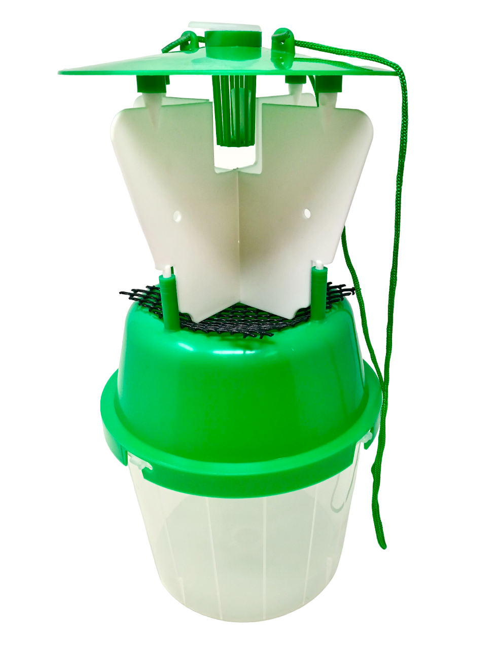 Raspberry Beetle Trap Including Attractant Lure