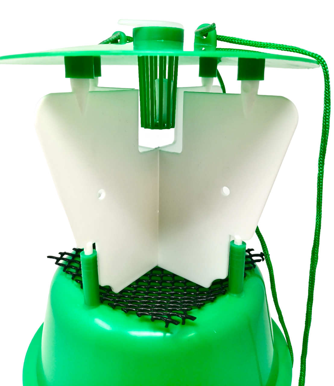 Raspberry Beetle Trap Including Attractant Lure