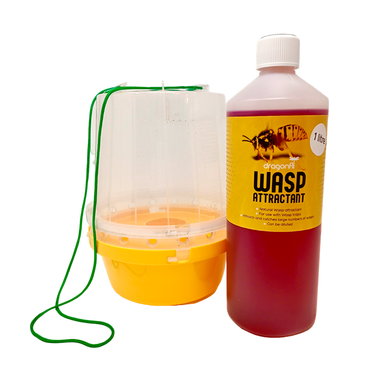 Wasp Trap With Attractant
