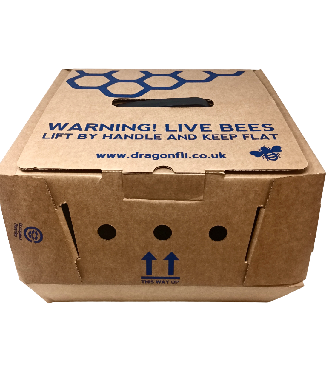 Live Bumblebee Colonies - Available To Order Now For Spring & Summer 2025 (Select Your Preferred Delivery Date)