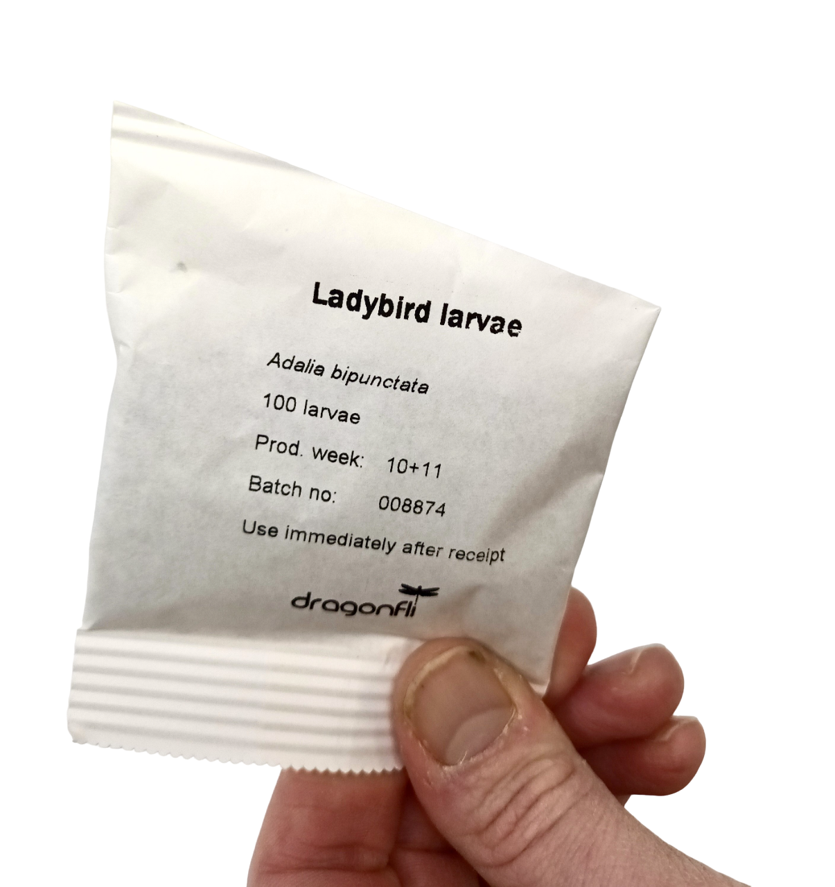 Ladybird Family Bundle: 25 Ladybird Adults (Supplied As Pupae) & 100 Ladybird Larvae