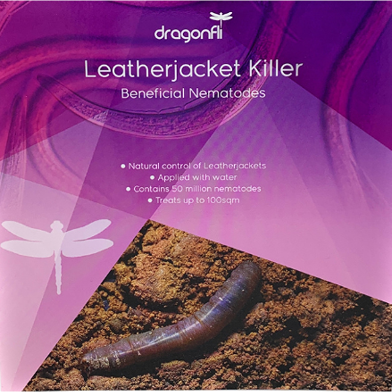 Leatherjacket Killer Nematodes