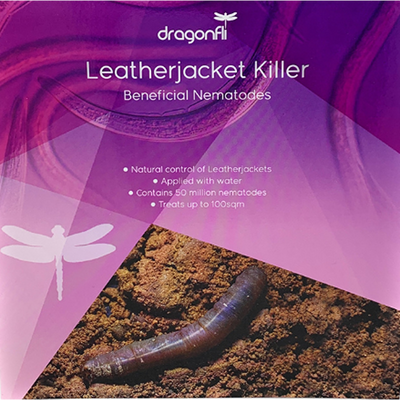 Leatherjacket Killer Nematodes - Steinernema Species