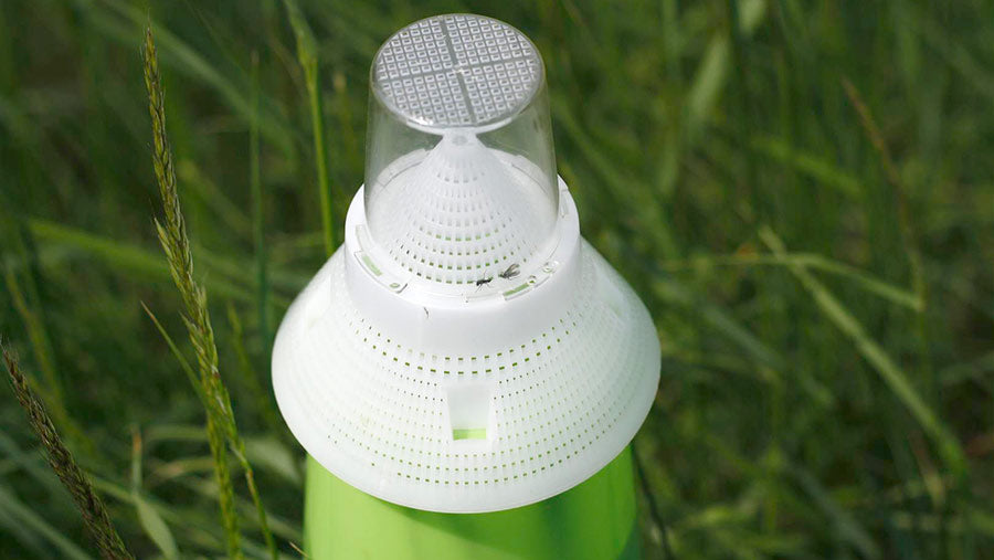 Pea & Bean Weevil Lure