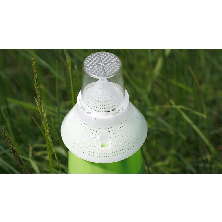 Bruchid Beetle Trap - Includes Attractant Lure