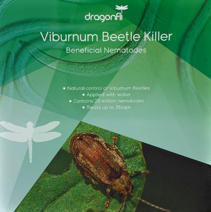 Viburnum Beetle Killer Nematodes