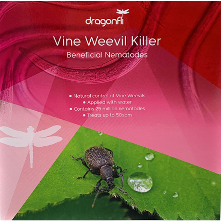 Vine Weevil Treatment & Control for Vine Weevil Larvae & Grubs