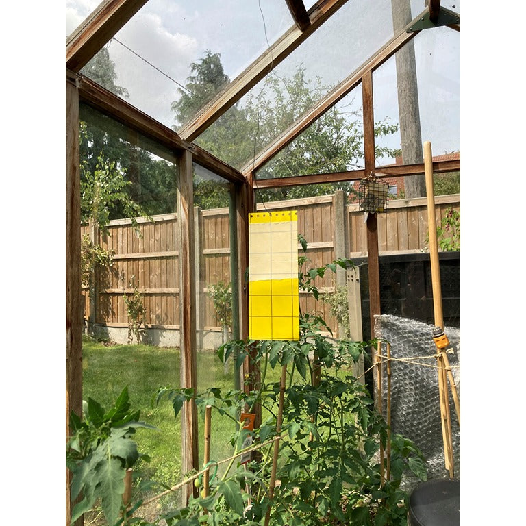 Biological Control Starter Pack