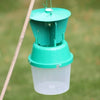 Garden Chafer Beetle Trap Including Attractant Lure
