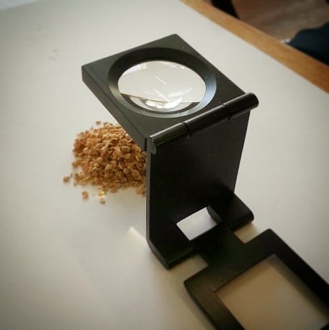 Dragonfli Metal Magnifying Glass - Observe Pests & Predators