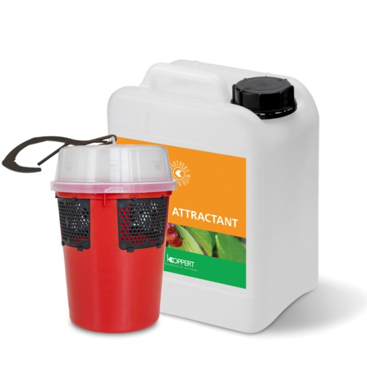 Drosophila Suzukii Fruit Fly Liquid Attractant