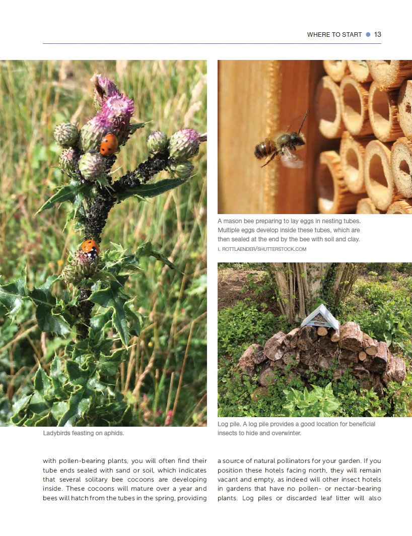 Predators Pest Control A Gardener's Guide To Biological Pest Control - Using Natural Predator ...