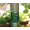 Glue Band (Grease Band) For Trees - Protect Your Trees From Insect Pests Including Moths & Ants