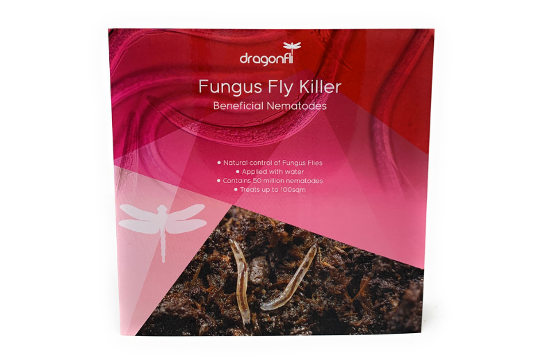 Fungus Fly Killer Nematodes