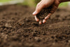 Soil Boost - Organic Fertiliser & Soil Improver