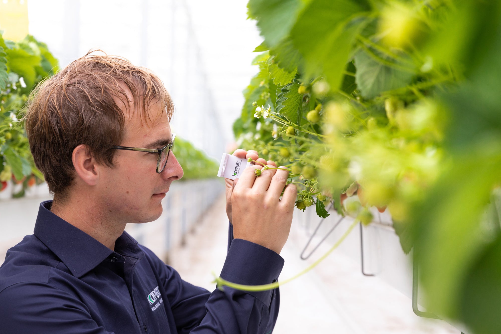 Biological Control Starter Pack