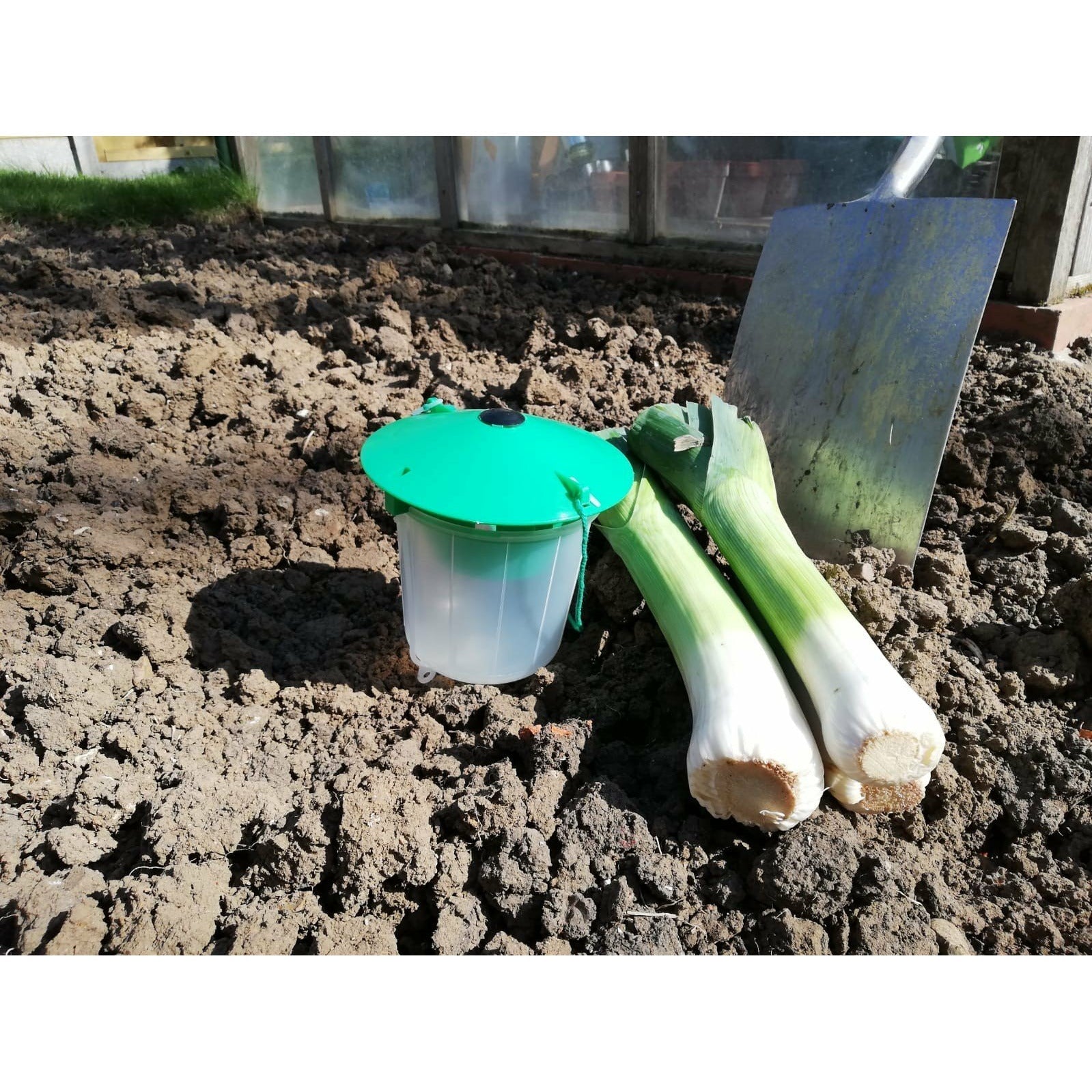 Leek Moth Pheromone Lure