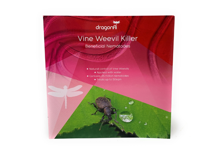 Vine Weevil Killer Nematodes